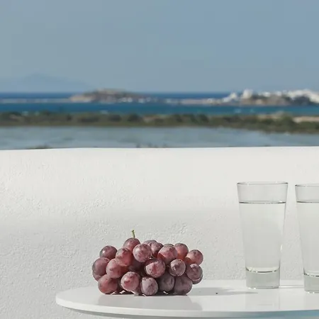 Naxian Spirit &